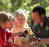 Cleland Wildlife Park - Accommodation Southport