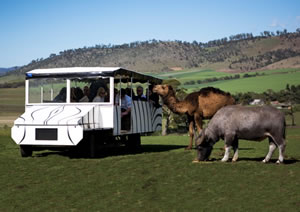 Zoo Doo Wildlife Park - Southport Accommodation 2