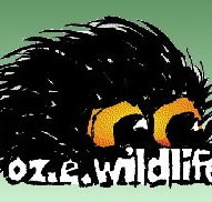 OZe Wildlife - Accommodation Southport