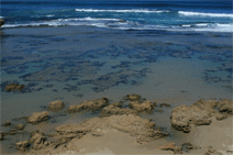 Canberra Contemporary Art Space - Accommodation Southport