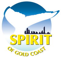 Spirit of Gold Coast Whale Watching - Accommodation Southport