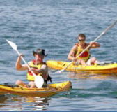 Manly Kayaks - Accommodation Southport