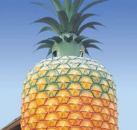The Big Pineapple - Accommodation Southport