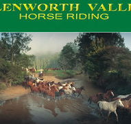 Glenworth Valley Horseriding - Southport Accommodation