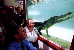 Alice Springs Reptile Centre - Southport Accommodation 1