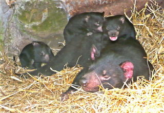  Accommodation Southport