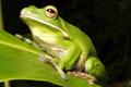 Book Port Douglas QLD Attractions Southport Accommodation Southport Accommodation