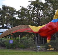 Gumbuya Park - Accommodation Southport
