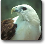 Kakadu National Park - Southport Accommodation