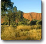 Uluru - Kata Tjuta National Park - Accommodation Southport