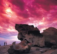 Kangaroo Island Adventure Tour 2 day/1 night - Southport Accommodation