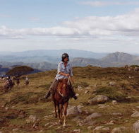 High Country Horses - Southport Accommodation