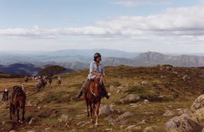 High Country Horses - Accommodation Southport 0