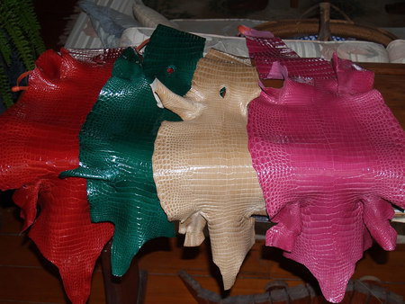 Koorana Saltwater Crocodile Farm - Accommodation Southport 2