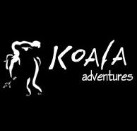 Koala Adventures - Accommodation Southport