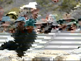  Accommodation Southport