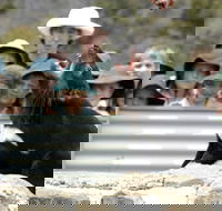 Tasmania Zoo - Accommodation Southport