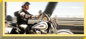 Easy Rider - Accommodation Southport 2