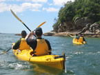 Sydney Harbour Kayaks - Southport Accommodation 1