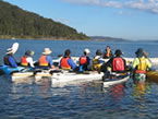 Sydney Harbour Kayaks - Southport Accommodation 2