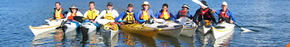 Sydney Harbour Kayaks - Southport Accommodation 3