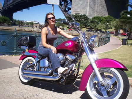 A Wild Ride - Southport Accommodation 2