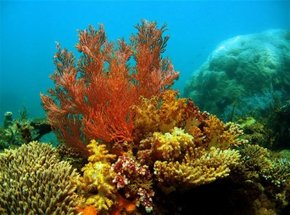  Accommodation Southport