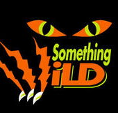 Something Wild - Southport Accommodation