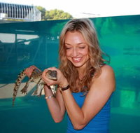 Crocosaurus Cove - Southport Accommodation