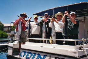 Sea Master Fishing Charters - Accommodation Southport 1