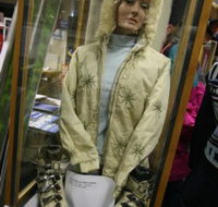 Alpine Museum - Southport Accommodation
