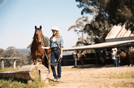 Watsons Trail Rides - Southport Accommodation