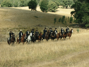 McCormacks Mountain Valley Trail Rides - Southport Accommodation
