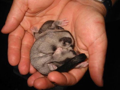  Accommodation Southport