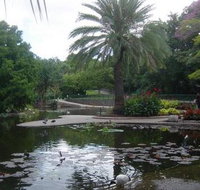 Brisbane City Botanic Gardens - Southport Accommodation