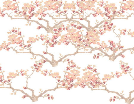 Zen Day Spa - Accommodation Southport 3