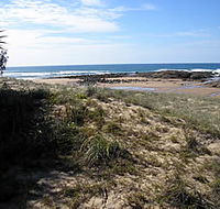 Deepwater National Park - Southport Accommodation