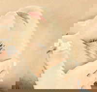 The Golden Door Spa  Health Club at Mirage Resort - Accommodation Southport