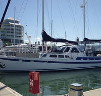 Coral Sea Dreaming Dive and Sail - Accommodation Southport