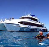 Silver Swift - Accommodation Southport