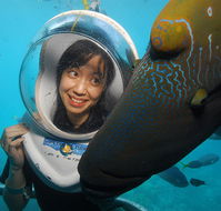 Sunlover Reef Cruises - Accommodation Southport