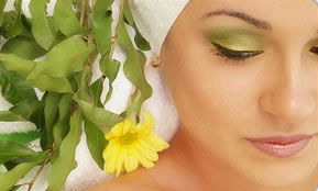 Indica Spa - Southport Accommodation 1