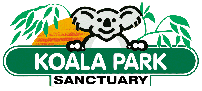 Koala Park Sanctuary - Southport Accommodation 0