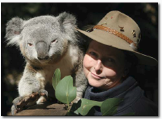 Koala Park Sanctuary - Southport Accommodation 2