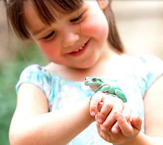 Reptile Encounters - Accommodation Southport 1