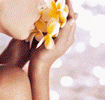 Tranquillity Spa  Beauty - Southport Accommodation
