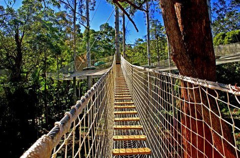 FreemanX Experience - Accommodation Southport 2