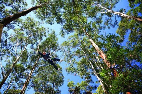 FreemanX Experience - Accommodation Southport 5