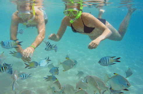 Australian Kayaking Adventures - Southport Accommodation 2