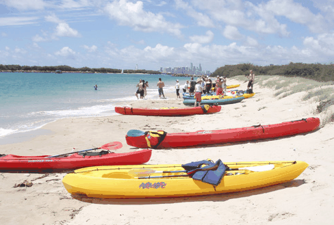 Australian Kayaking Adventures - Southport Accommodation 3